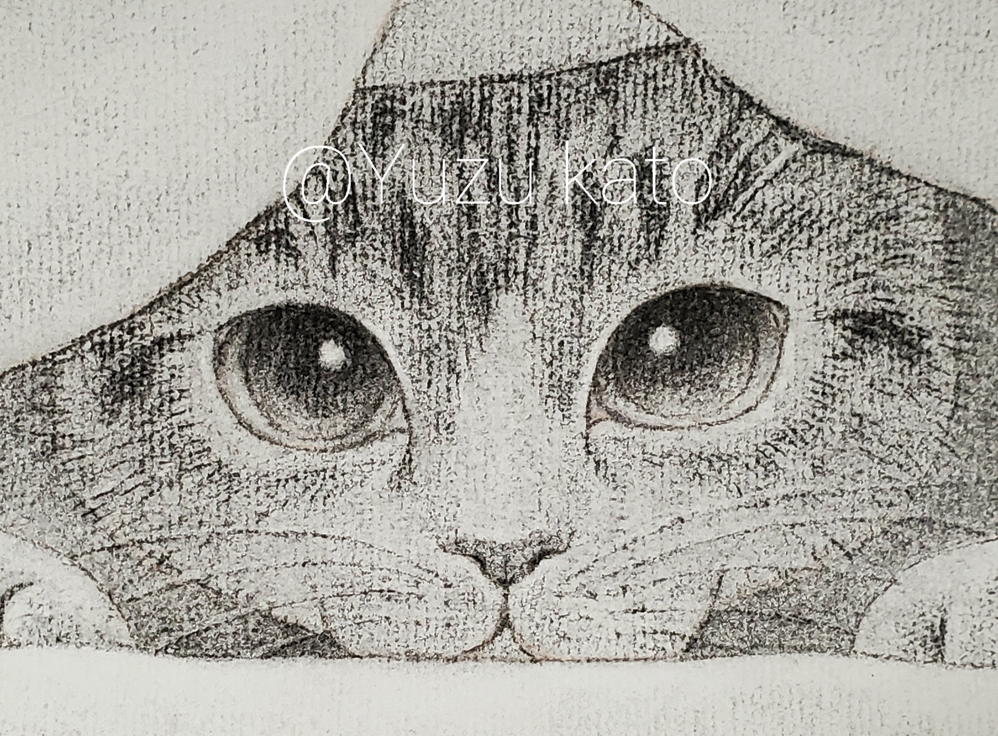 かとう ゆず 数億年ぶりに木炭デッサン描いてます 久しぶりの感触で懐かしかった 描き方忘れてるかな と心配になったけど 手を動かすと案外すんなり思い出した 10代の頃にやってたものって忘れないもんですね 昔から木炭好きだったけどやはり楽しい