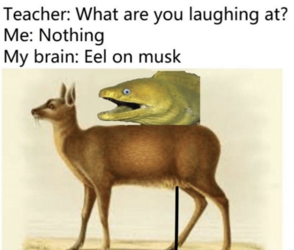Siempre me pasa esto
