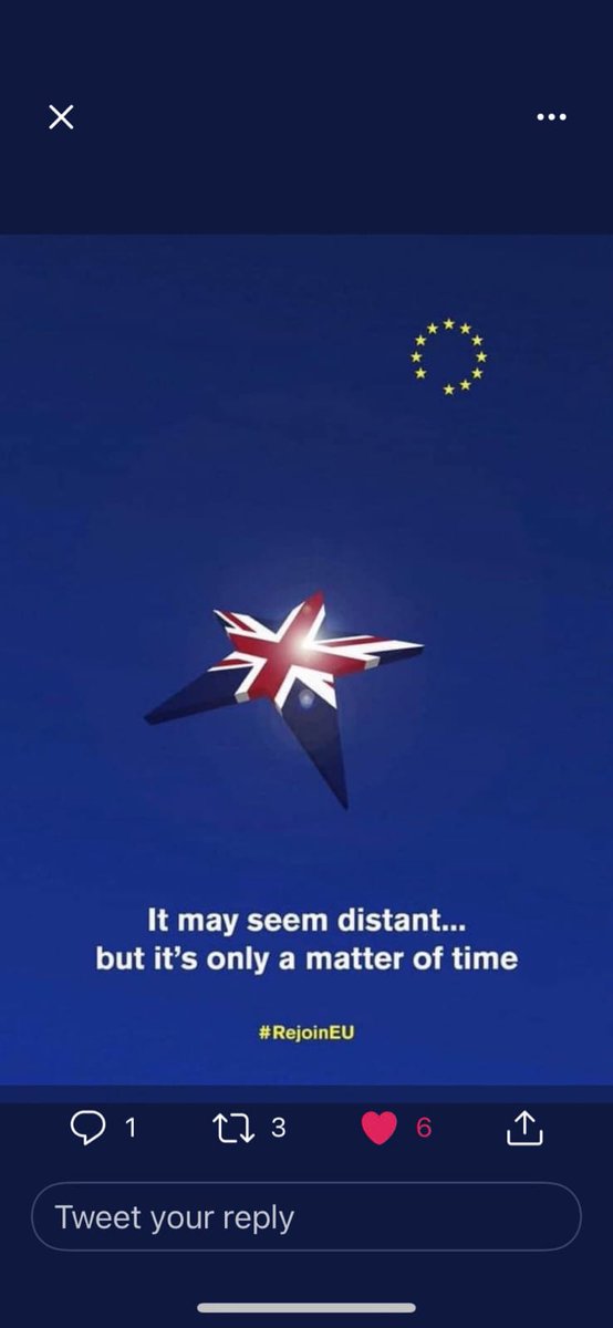 To my pro EU friends buon anno,gott nytt år,
gelukkig nieuw jaar, bonne année, frohes neues Jahr, Feliz año nuevo happy new year 🇪🇺