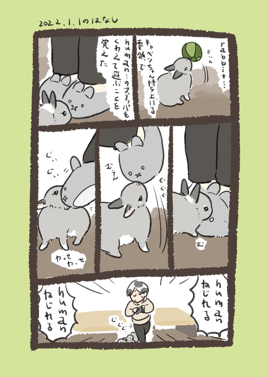 日付け変わって昨日のrabbit…とUSA
#うさぎのいる生活 
