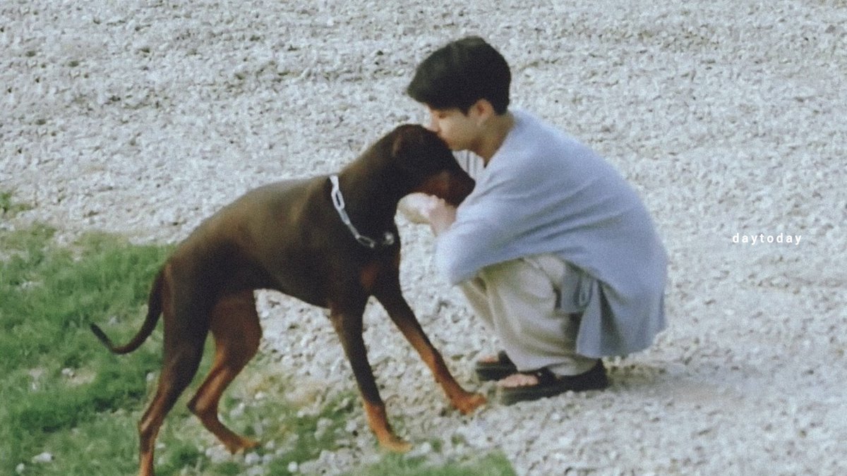 요 말랑 아기가 자라서 정국이 곁에 온기를 나누는 껌딱지 칭구가 되었다는게..ㅜㅜ 심지어 막 지켜주고 싶어해 분명 밤이 존재만으로 정국이에게 엄청 큰 힘이 될거야