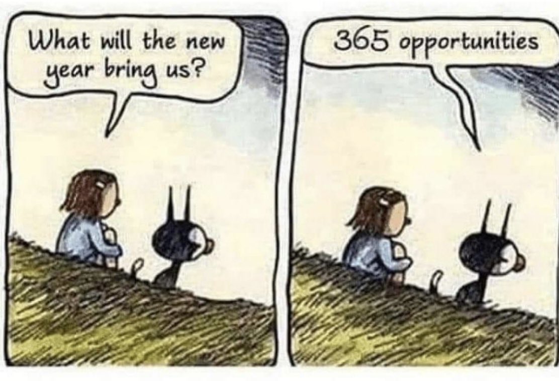 Dana Levesque tweet media