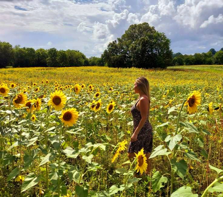 JypsyAnnie's tweet photo. If it's going to be as warm as it is on January one, can't I be standing in a field full of sunflowers! Geesh.
#comeonsummertime #sundresses #andsunflowersinfullbloom ๐ป๐ฅฐ๐ป https://t.co/H3jDBtaFGH