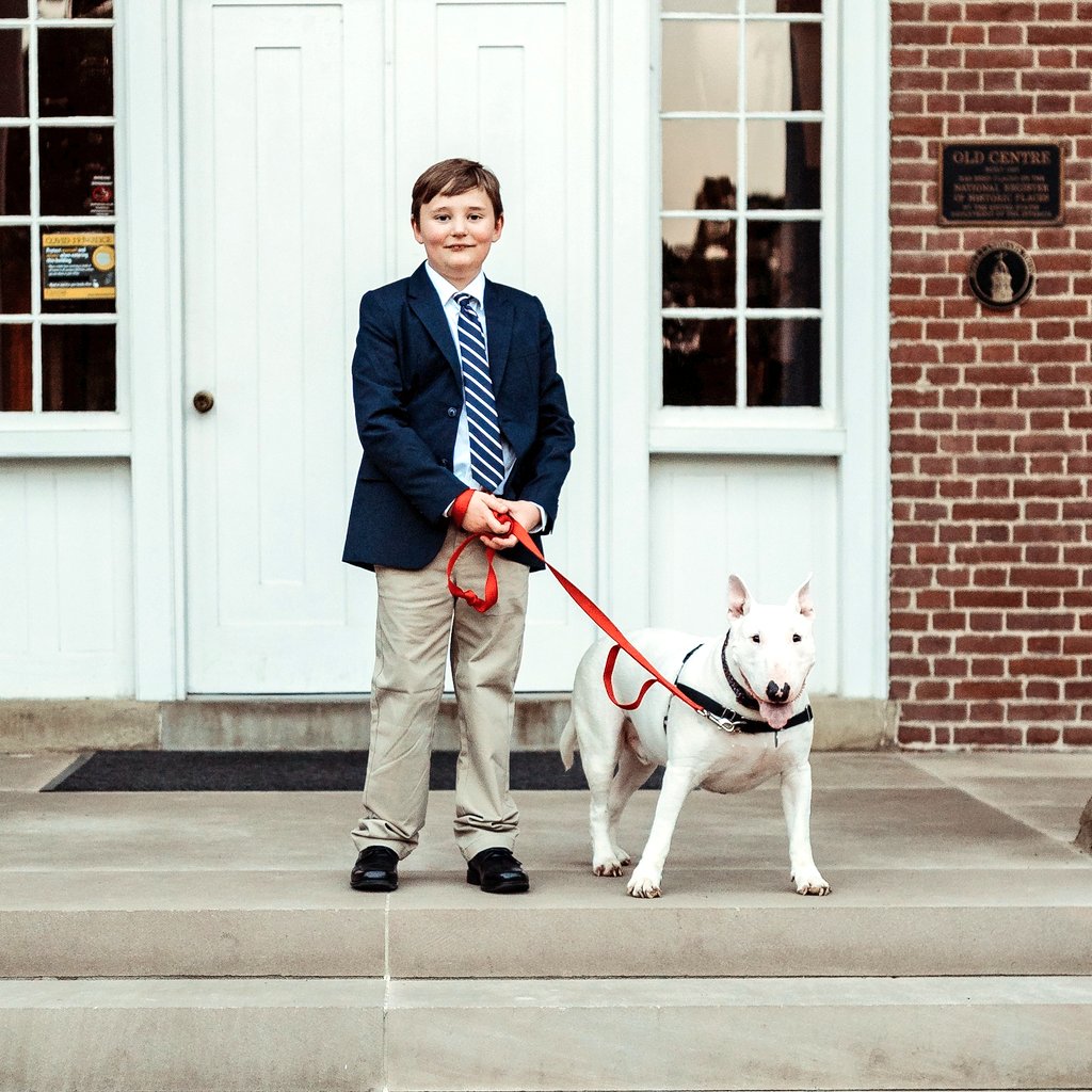 EthansPetProj's tweet photo. Ethan's mom here, Happy New Year everyone!  I have a favor. Ethan has been trying to get rescue pets named the state pet of KY for 1/3 of his life.  Legislative session starts 1/4. He needs a massive show of support. Can we get him  5000 supporters by then? Please RT. Thank you! https://t.co/aw0Nxjti57