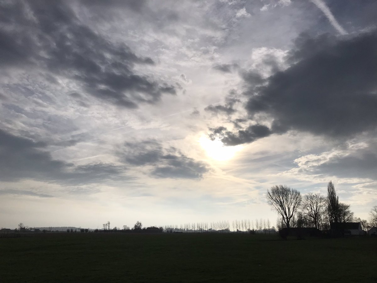 Sven Vrolijk tweet media