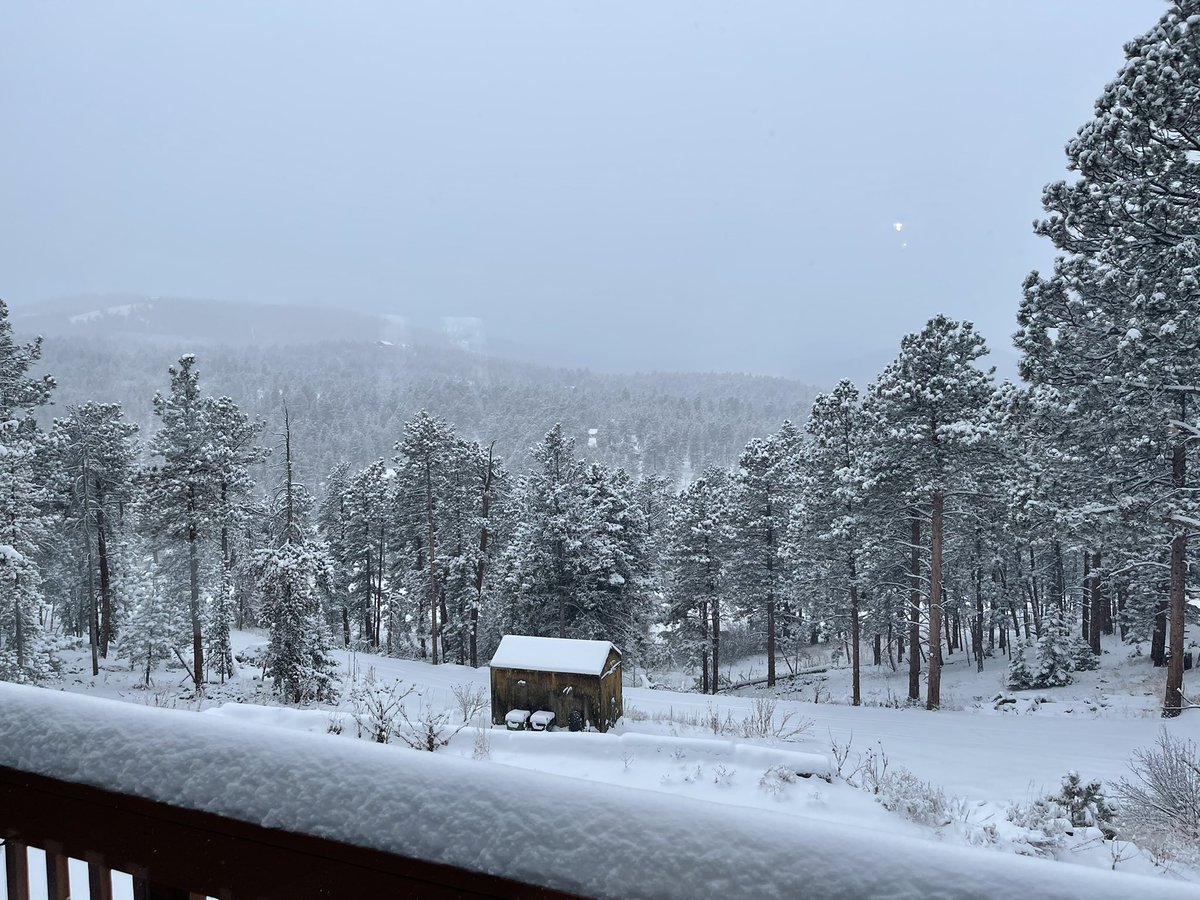 Derek Shane tweet media