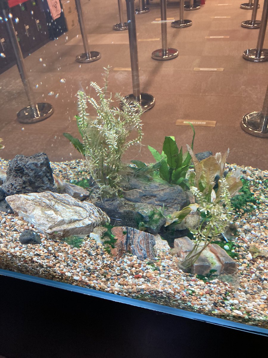 しばばばば 1028 Iz Twitter