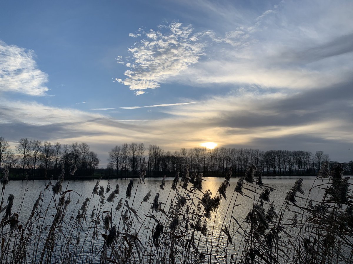 NicoClaeys's tweet photo. Zeer aangenaam weer in Ieper om 16u #vrtweer https://t.co/yGEczB4FTM