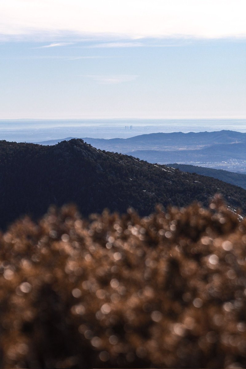 Ownphotography_'s tweet photo. Vistas desde Montón de Trigo.
🏔️1979m https://t.co/GGR4VLz5RV
