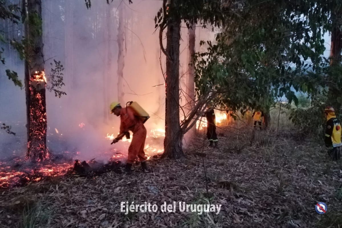 [Imagen: FIBwFptWYAExRnR?format=jpg&name=medium]