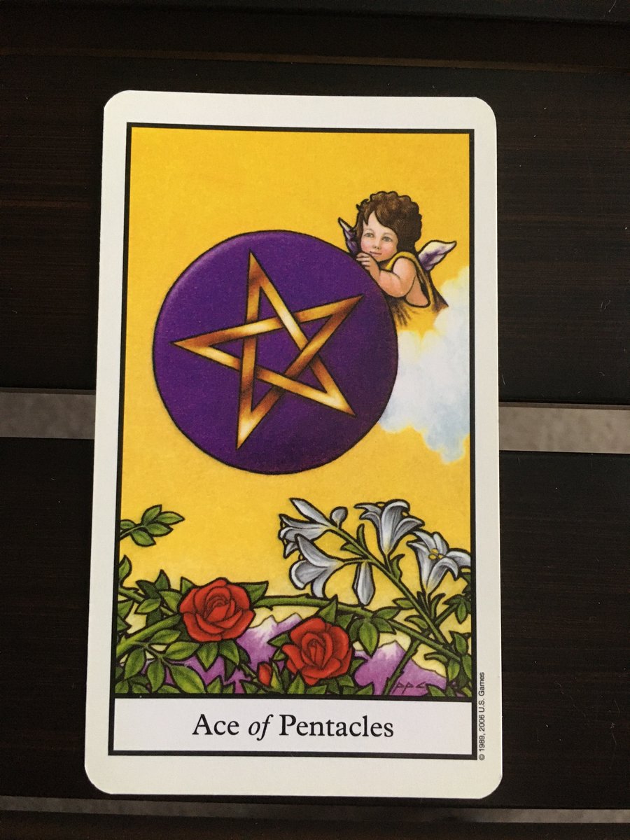 Tina Klein Walsh @tkleinwalsh@mastodon.social tweet media