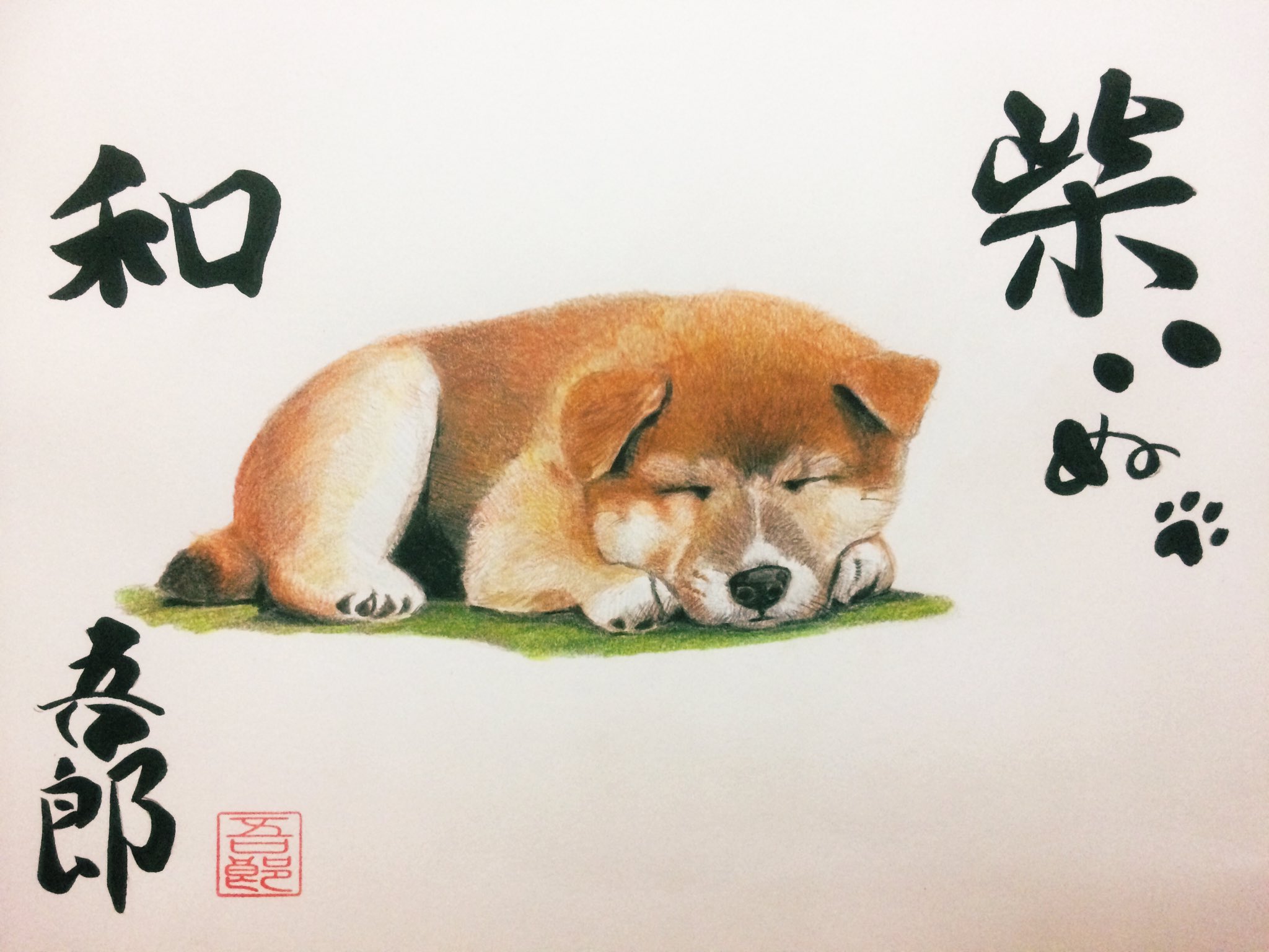 柴犬グッズ Twitter Search Twitter