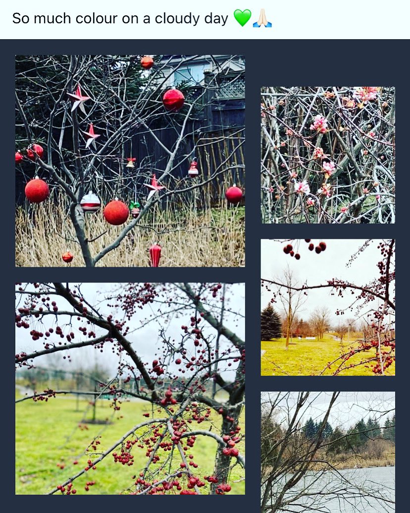 T__Meikle's tweet photo. Walks of delight 2022 #NewYear2022 #mindfullness #mindfulwalking #16guidelines #beingnotdoing https://t.co/7ZQXLpYthZ