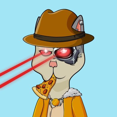 BaronDavis's tweet image. Happy New Year Boss Cat !!  Ready for 2022 🔥🔥🔥