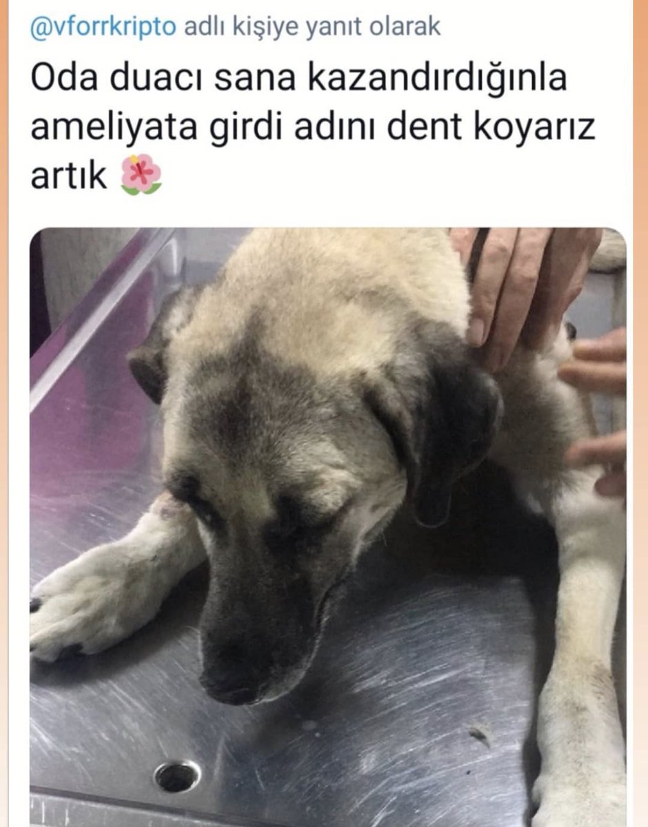 Vforrkripto's tweet photo. 2021 benim için Efsane geçti 🎉
Tamamı Binance Spot'da 
5 coinden 10x
3 coinden 3x
15+ coinden 2x  
Binance'de +53 bin Pnl Yaparak Türkiye'de Bir Rekora İmza Attık.
Kendi Bakiyemi 50 ye katladım.
7 takipçiden Tamamen Organik Şekilde Başarımızı Tastikleyerek 220K + olduk. https://t.co/FNeRMEPJcg
