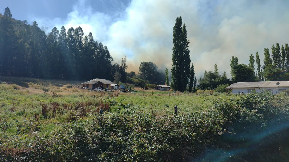 Se declara Alerta roja  🚨 por incendio forestal en el sector Quilicura de la comuna de Las Cabras, dada la proximidad a viviendas.
