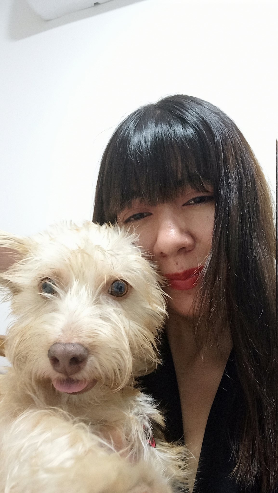 Feliz año nuevo 🥳 https://t.co/Xay4rHxubN