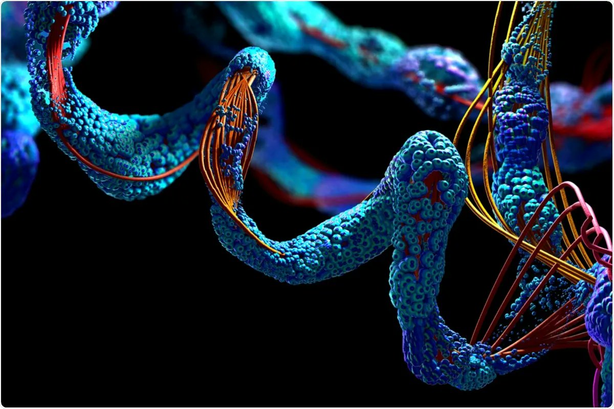 NewsMedical's tweet photo. In this interview, News-Medical speaks to Dr. Stupp about his recent research into a therapy involving dancing molecules for the treatment of severe spinal cord injury. #dancingmolecules https://t.co/N9YcnzakY8 https://t.co/b4zEwNhr42