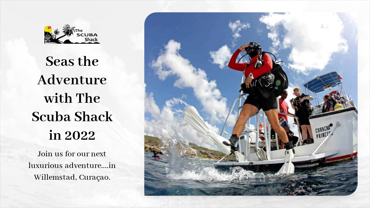 Seas the Adventure - mailchi.mp/aa0d07e3aa28/s…