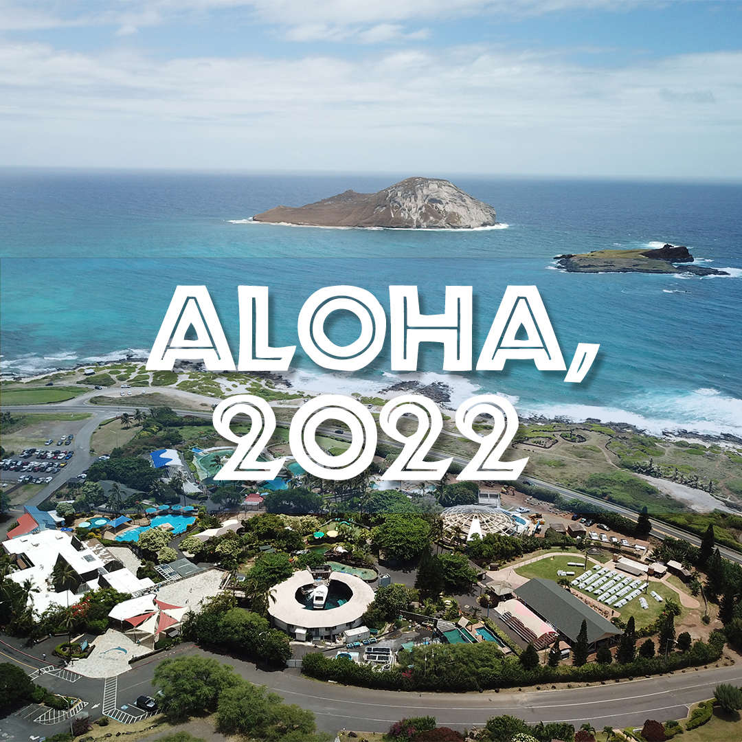 SeaLifePark's tweet photo. Aloha 2021 and ALOOOOOOHA 2022! Time to shell-abrate the New Year! https://t.co/fOHJXqzvlX
