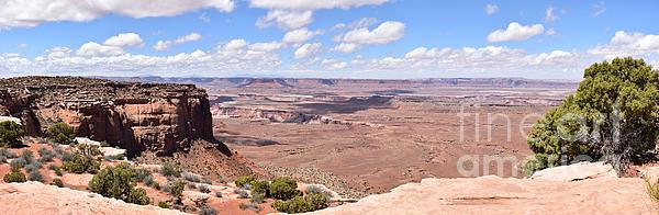 sfeaccount's tweet photo. New artwork for sale! - "Canyonlands Pano" - https://t.co/ZSeBhslmis @fineartamerica https://t.co/5EUyIspxYL