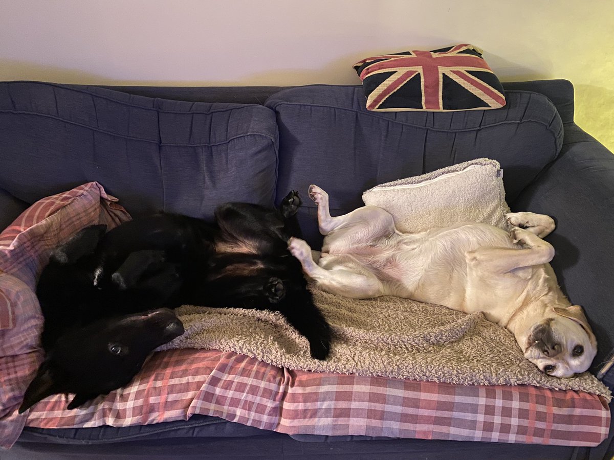 No room for humans 😂 just me and Luna chilling ❤️