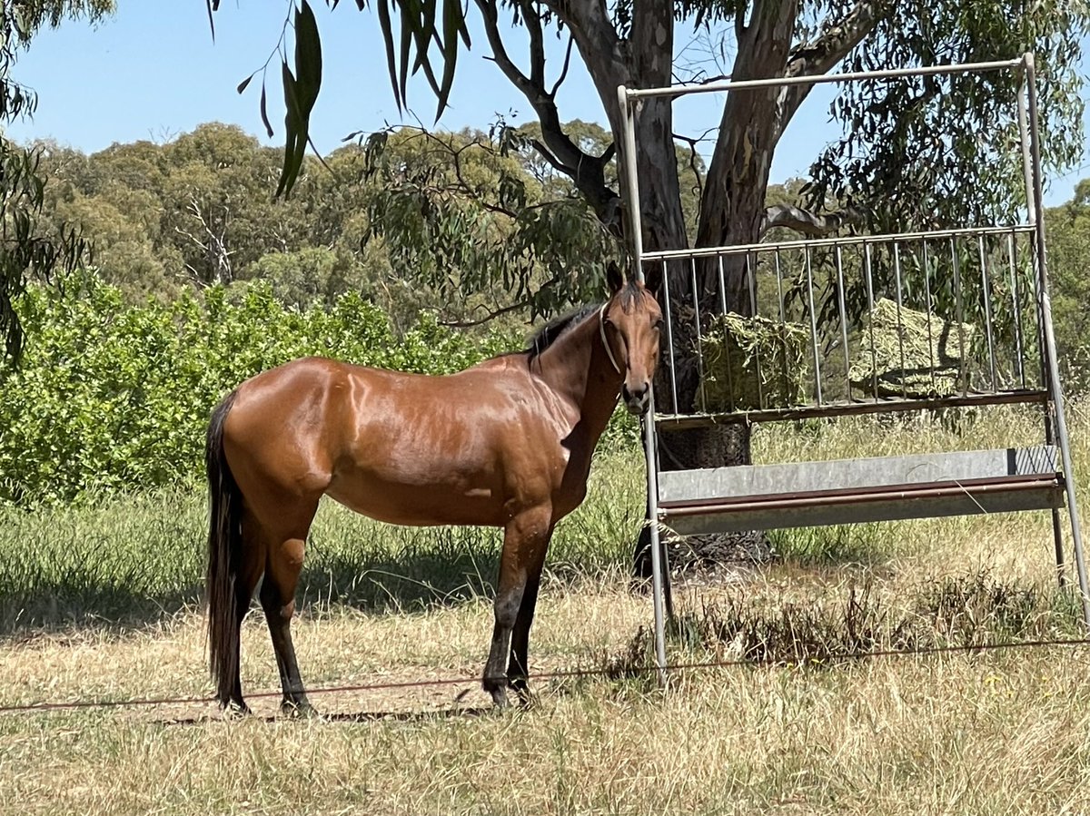 SuccessStud's tweet photo. Spelling available @SuccessStud
#spellingatsuccess #54yearsofsuccess #successbreedssuccess https://t.co/V3TCXgoCfU