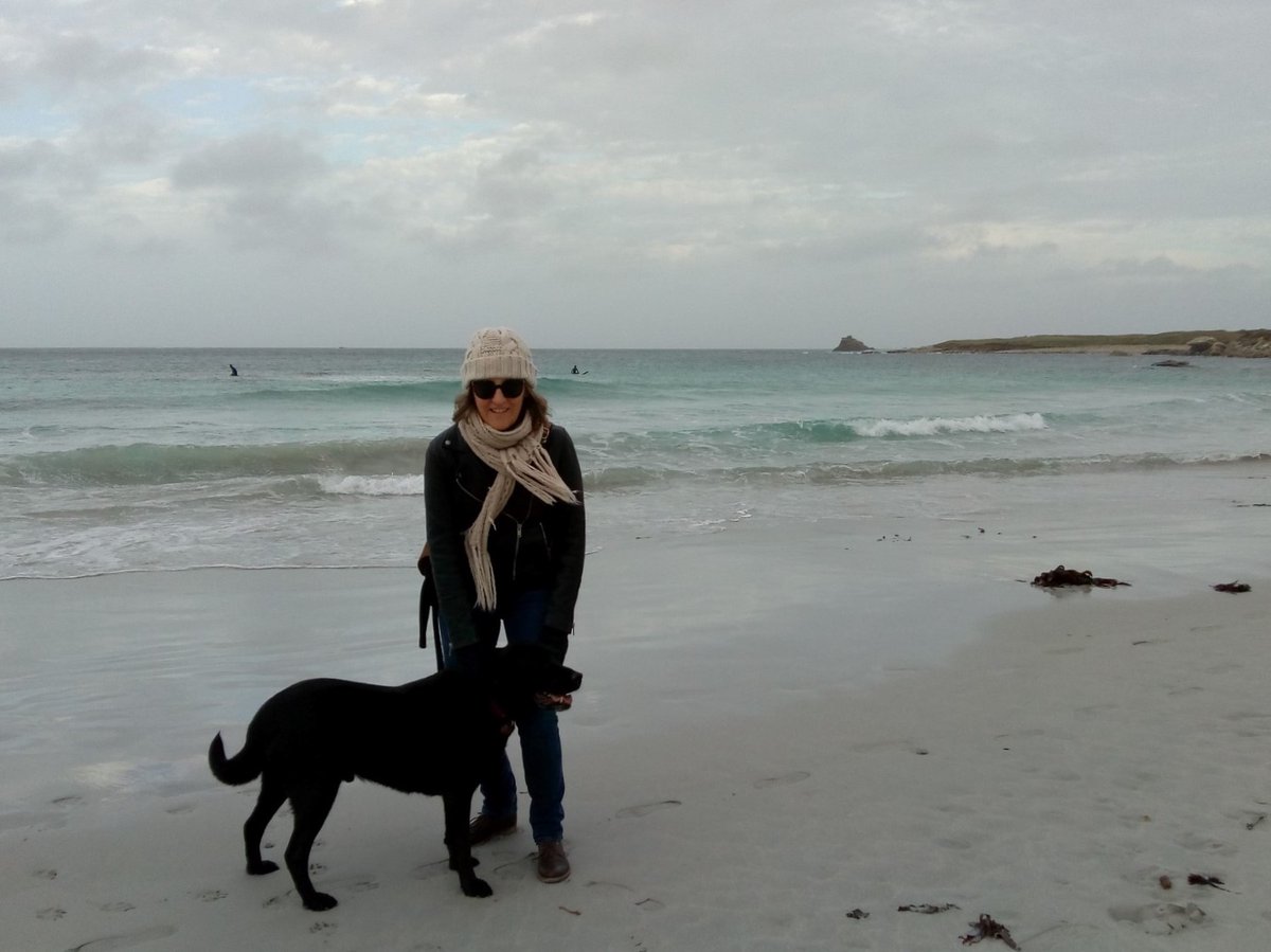 Marie-L Quétier 🐾 tweet media