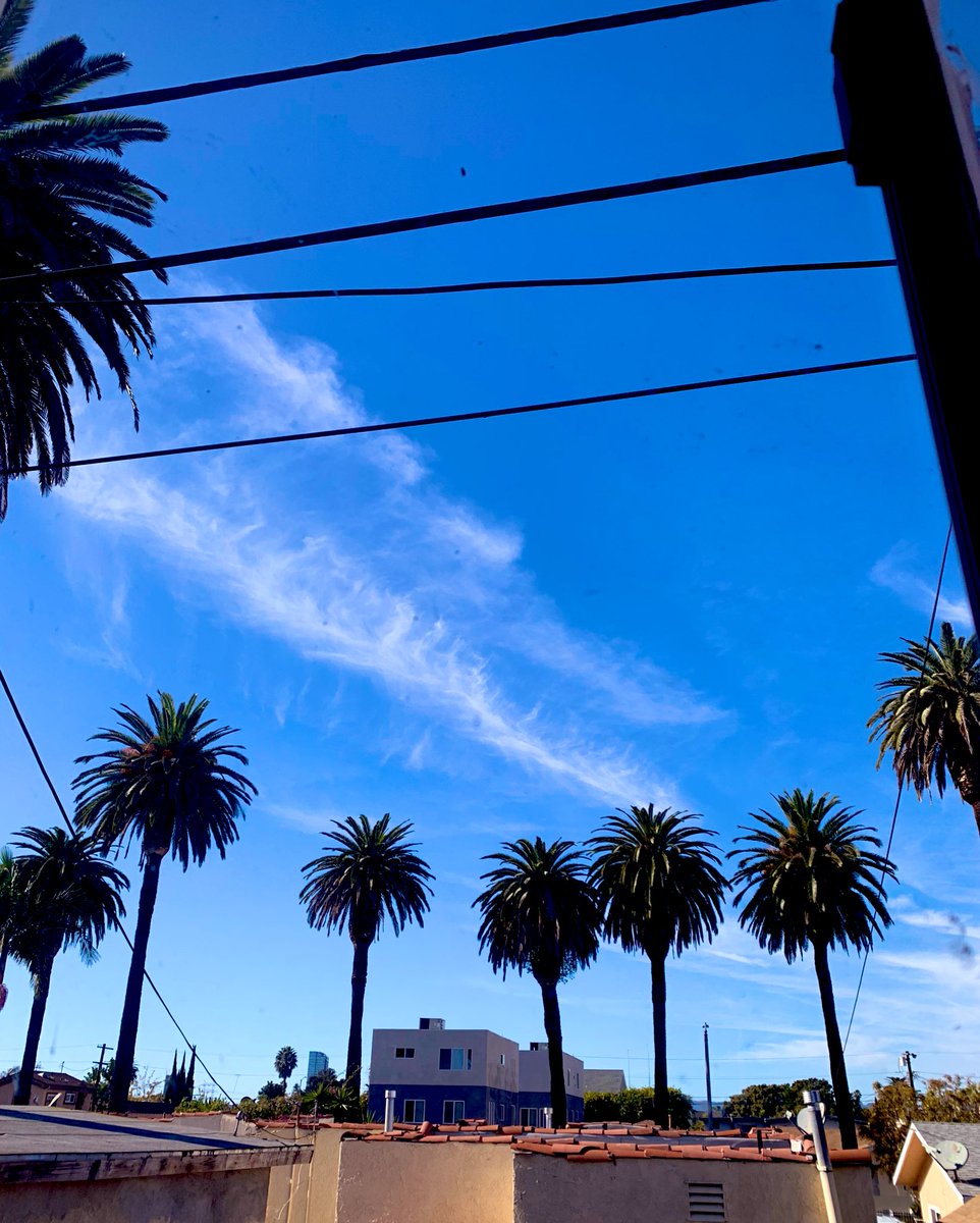 msedenwinter's tweet photo. Hello 2022!!! Gorgeous sunny LA day looking out my bedroom window. Spending the day watching silly movies, organizing, decluttering, and purging. #freshstart #freshyear #onedayatatime https://t.co/X8XHwpFL0P