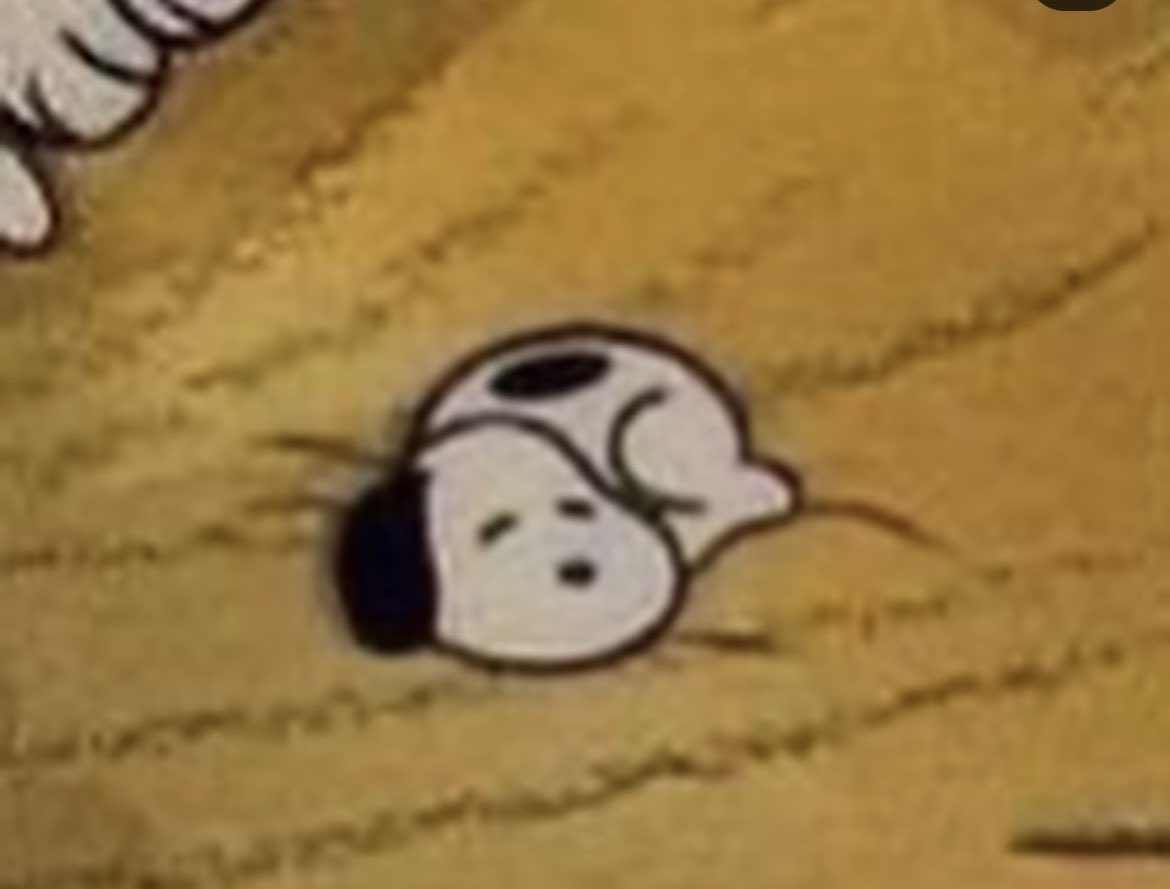 tiny snoopy dog curled up peanuts charlie brown, image size:1170x889