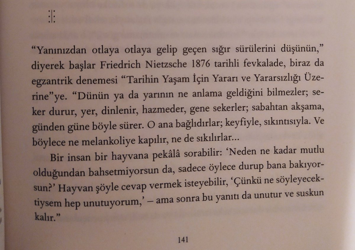 cicek ozmen tweet media