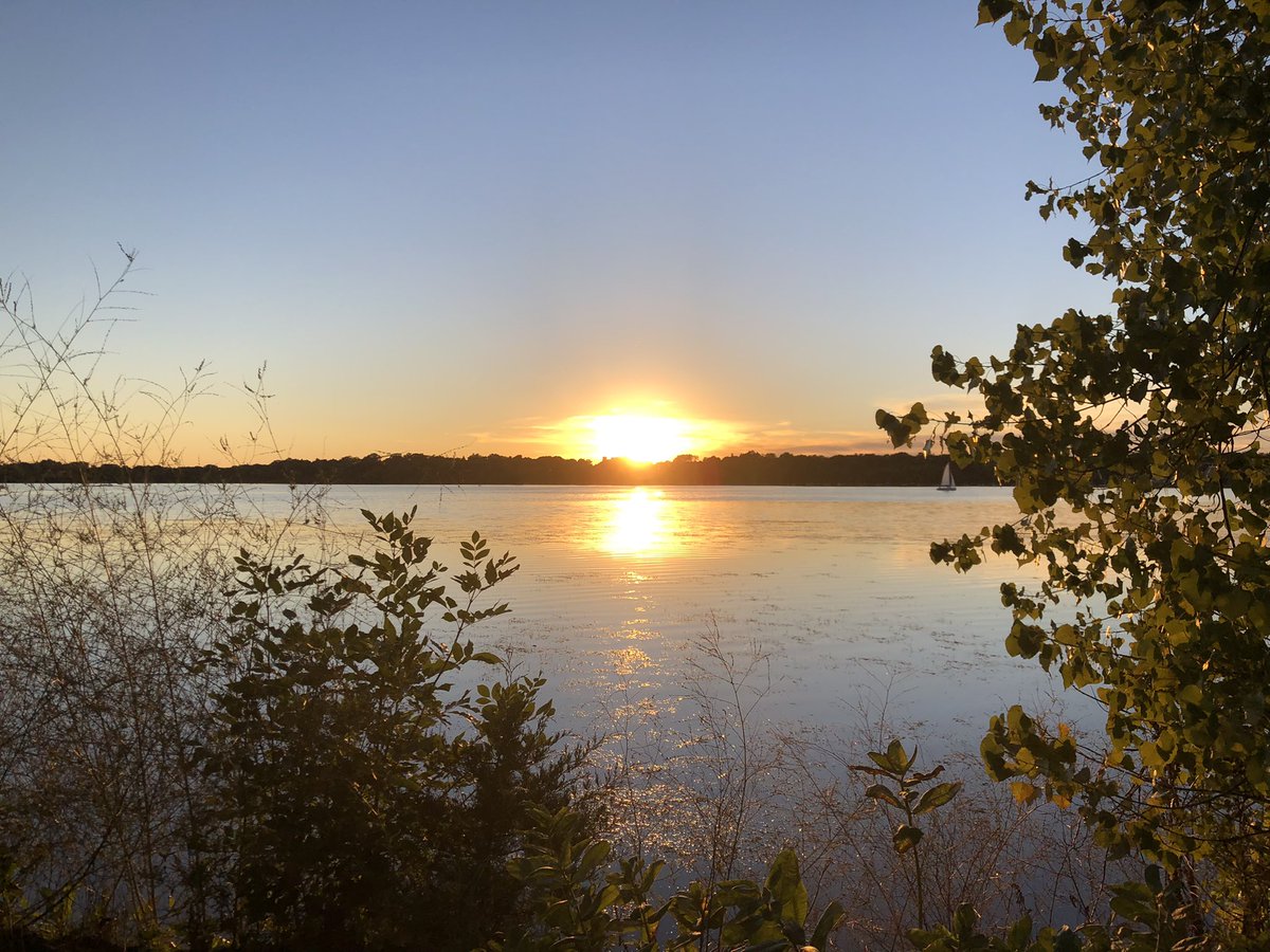 annabelja's tweet photo. My favorite sunsets of 2021! 💗 https://t.co/XxdRHZFoy7