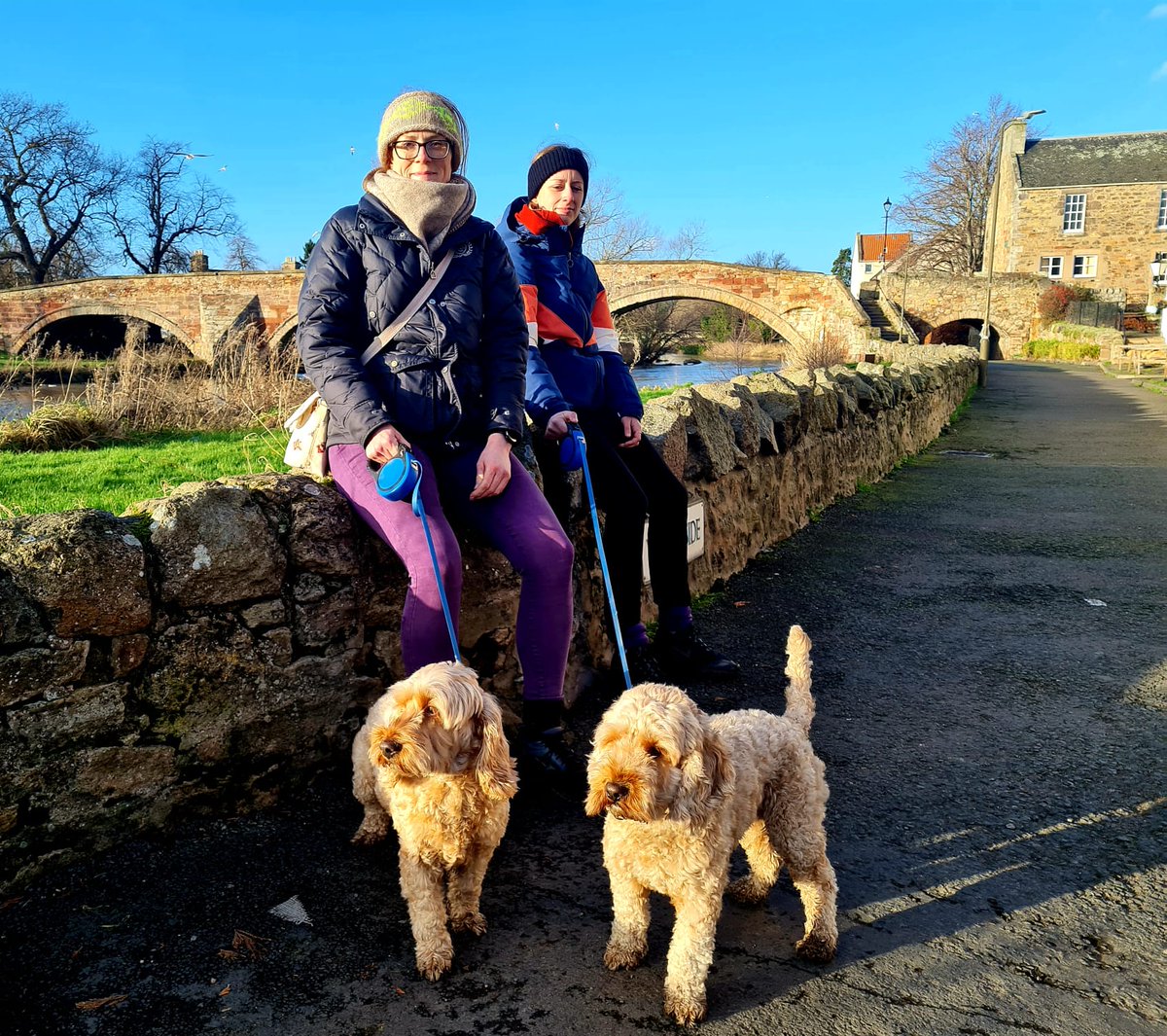 bellerina12's tweet photo. A beautiful New Years day in #Haddington ๐ด๓ ง๓ ข๓ ณ๓ ฃ๓ ด๓ ฟ brought to you by @Housesitting @TrustedAngela Perfect ๐ถ๐ถ companions and a great way to start #NewYear2022 Looking forward to many more this year! #teamtrusted #housesitting https://t.co/904k5IRu1t