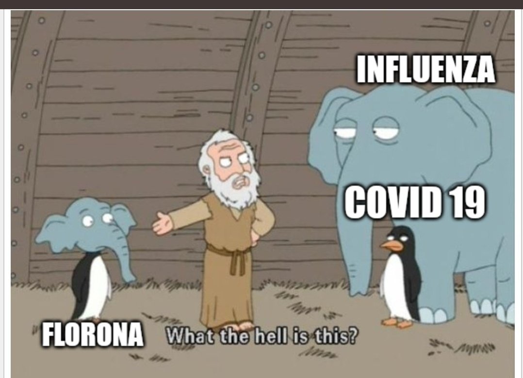 This meme was made for this😂😂
.
.
.
#florona