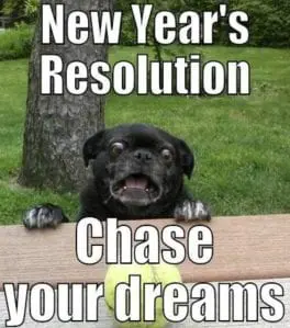 Emmanuel_GPP's tweet photo. What is your new year's resolution?  Is it to go back to school?  We can help!  https://t.co/TJZYCzXrN4 https://t.co/JQF0sWCCWi
