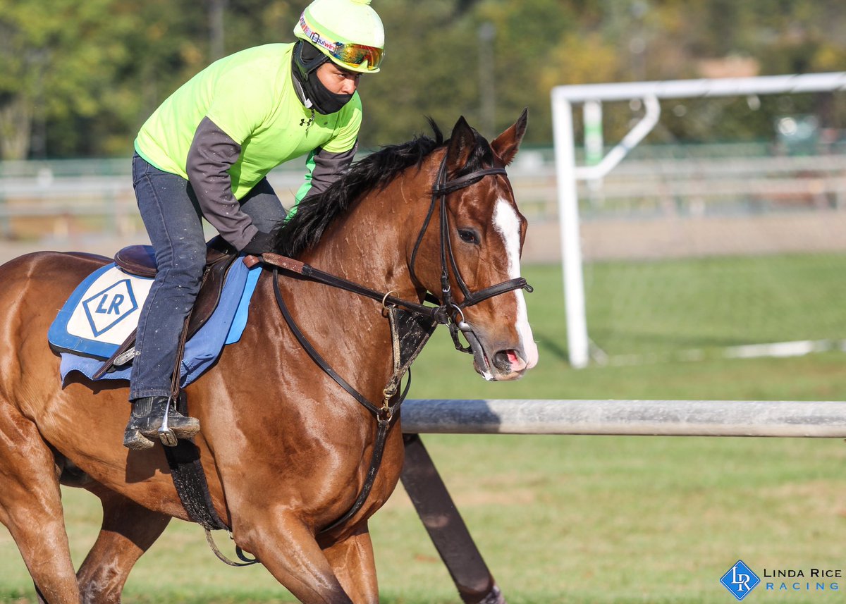 Linda Rice Lindariceracing Twitter