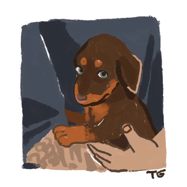 Baby Bami🐶

#btsfanart 
#bam 