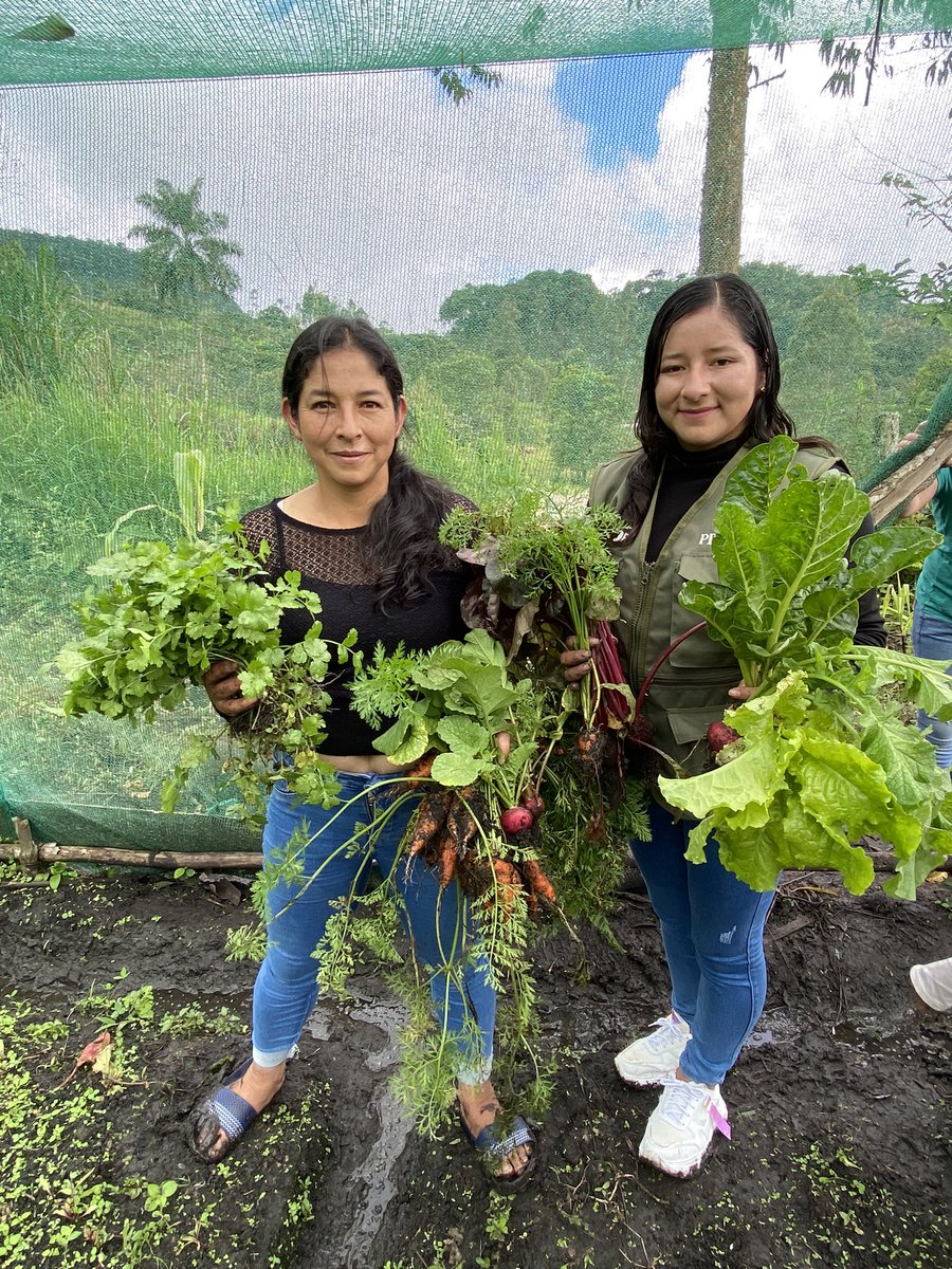 CafeFemFound tweet media