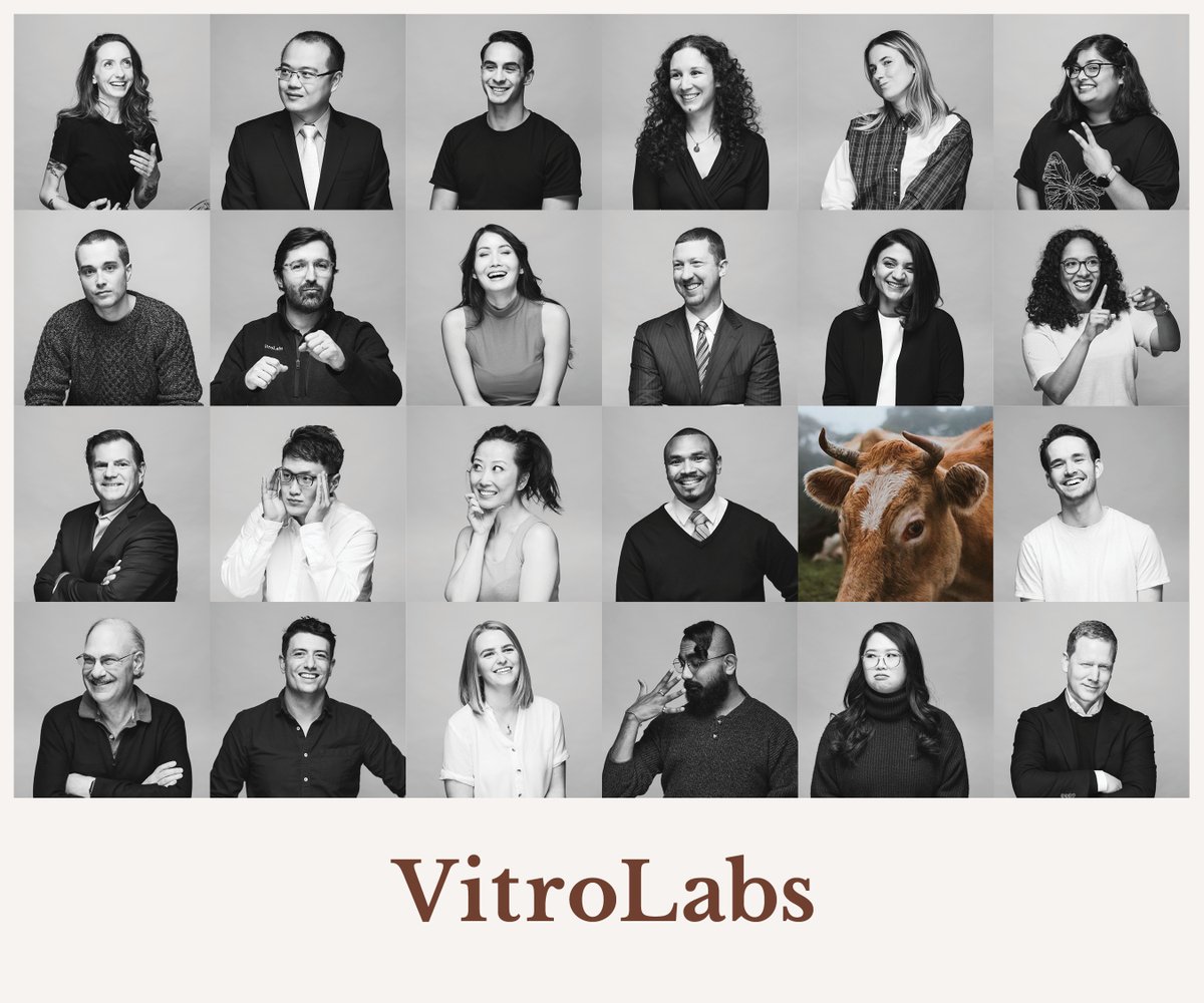 VitroLabsInc's tweet photo. From all of us, wishing you a happy and productive new year! https://t.co/s8S8NIpq65