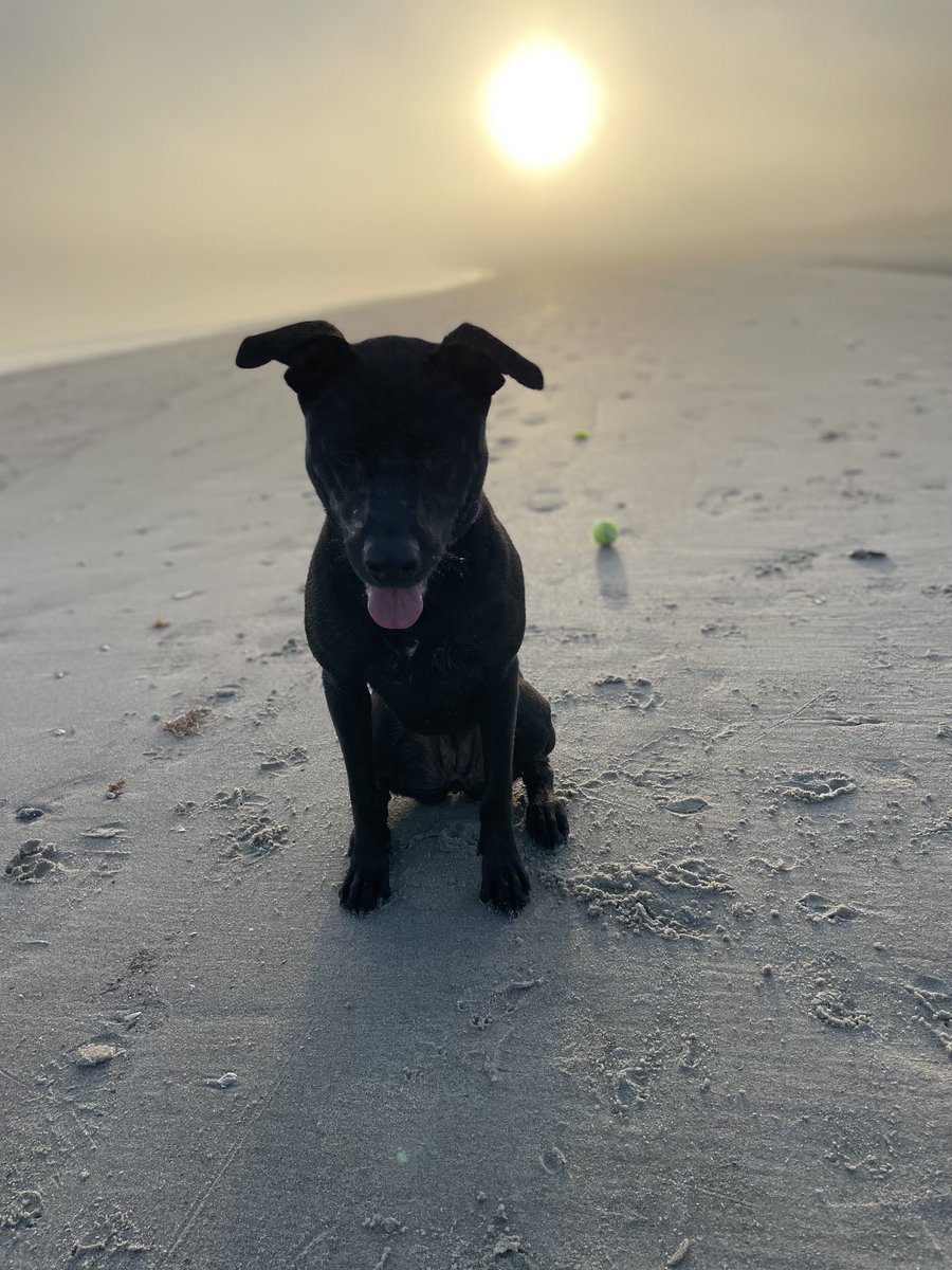 Dawn of a new year…
Let’s go!
Happy 2022!!