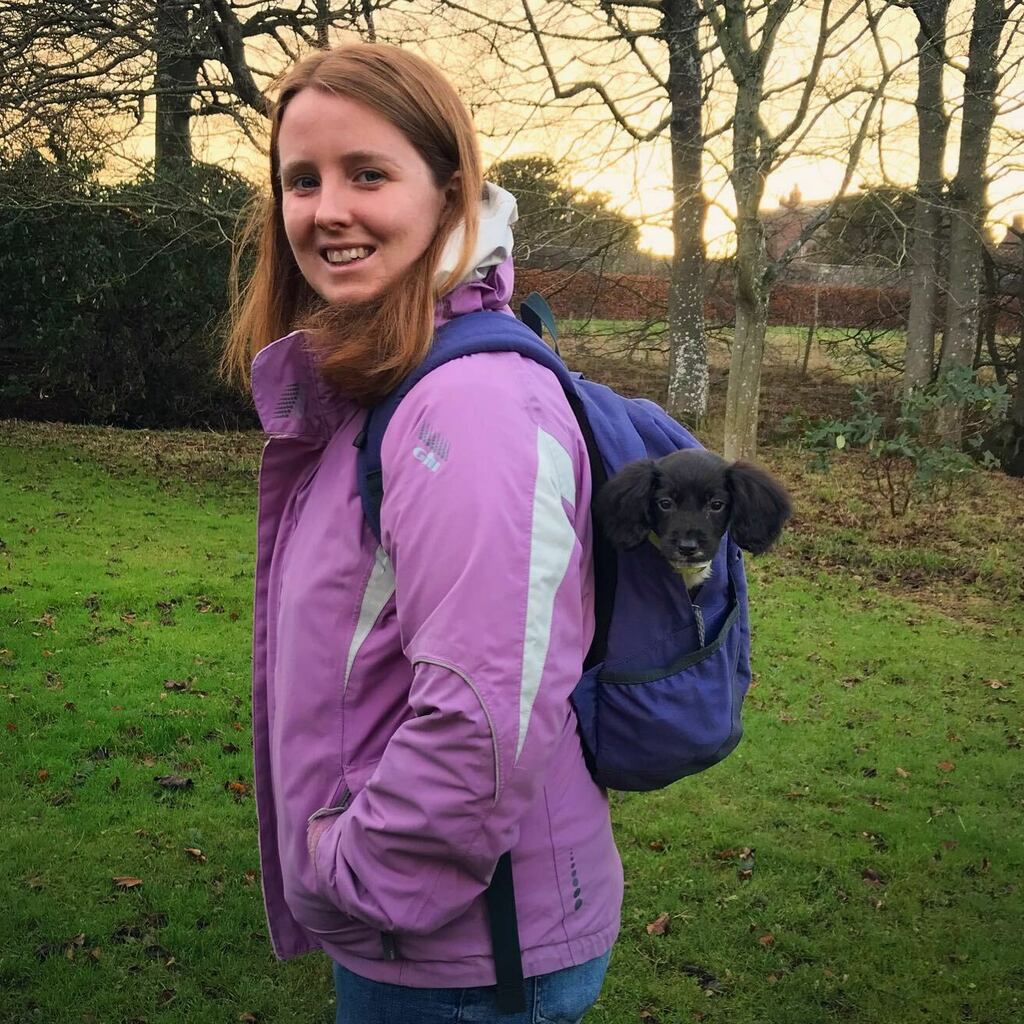 Gisforgingers's tweet photo. New Year’s Day walk with my little buddy - it’s hard to believe we’ve had him a week already 🥾 🐾 #SpringerSpaniel #SpringerSpanielPuppy #Spaniel #SpanielPuppy #SpringersOfInstagram #ScottishSpringers #ginger #redhead #reallifeandstyle #chattycaptionc… https://t.co/Wy1eOMxyD7 https://t.co/OAWZMHofvS