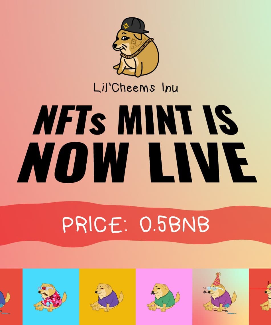 Lil'Cheems Inu tweet media