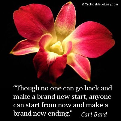 Tkarera's tweet photo. “No one can go back and make a new start. But anyone can start from now and make a brand new ending” – #CarlBard
#quote
#NewYear
#Resolutions
#success
#ThinkBigSundayWithMarsha
#HappyNewYear2022 https://t.co/aUyG7QNbhr