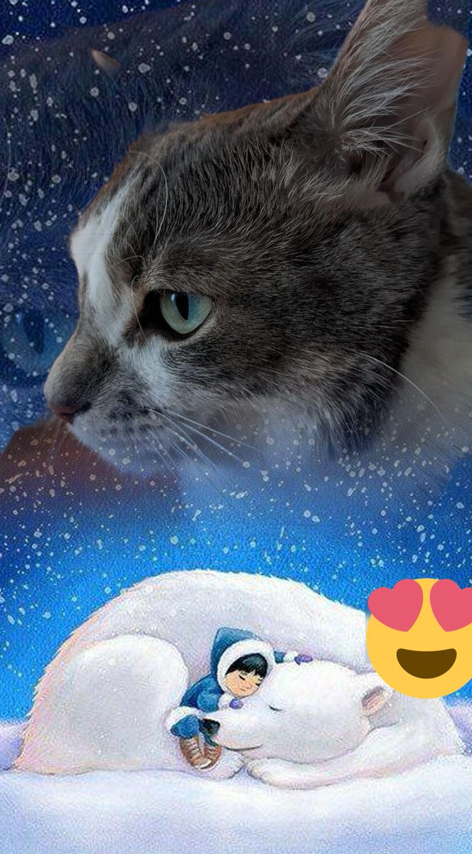 Happy new year day #animals #nature #animal #wildlife #love #pets #cute #photography #pet #dog #cats #dogs #naturephotography #instagram #cat #photooftheday #wildlifephotography #animallovers #birds #of #dogsofinstagram #petsofinstagram #instagood #art #animalsofinstagram