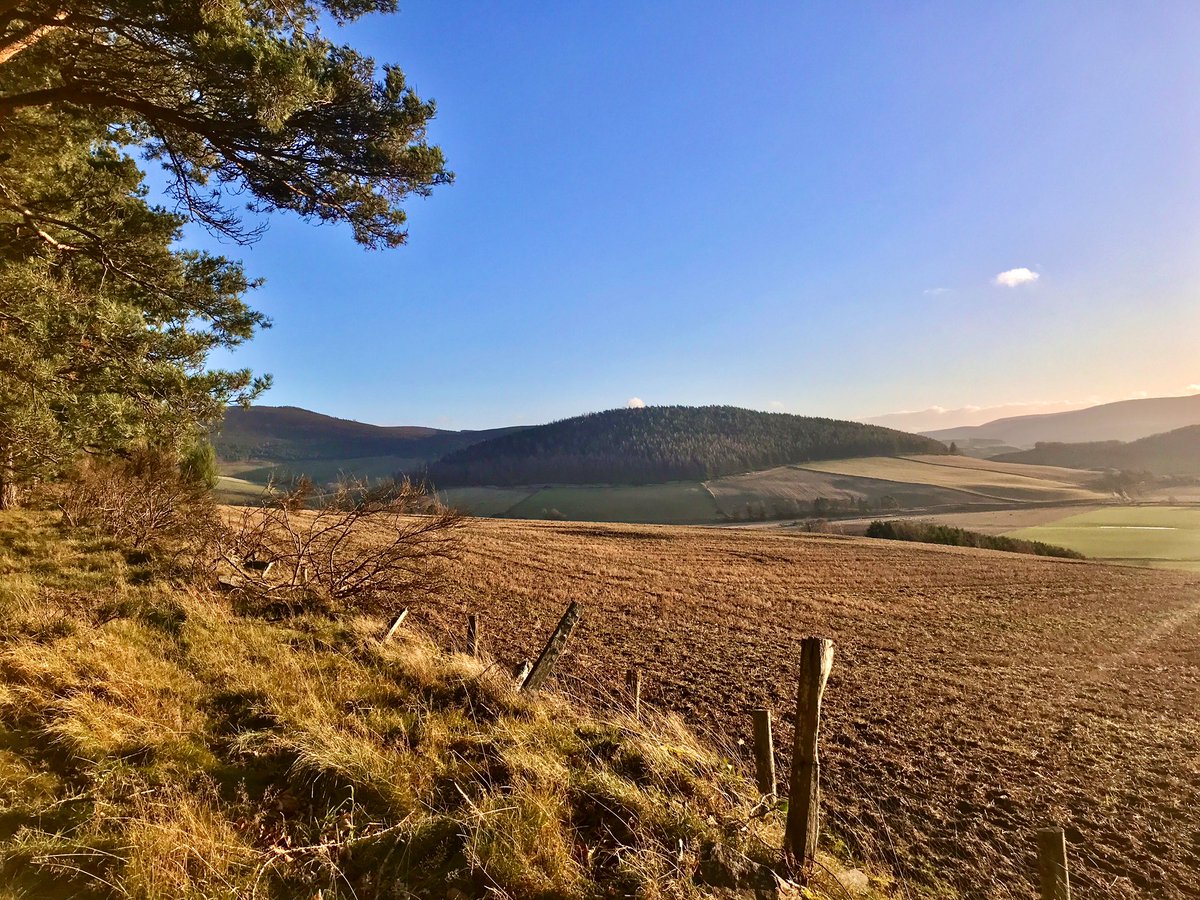 TheMackWalks's tweet photo. Today, Ardhuncart Hill, Mossat💙 #walking #winterwalks #newyeardaywalks #ardhuncarthill #mossat #kildrummy #aberdeenshire https://t.co/q5qYAYx5WQ