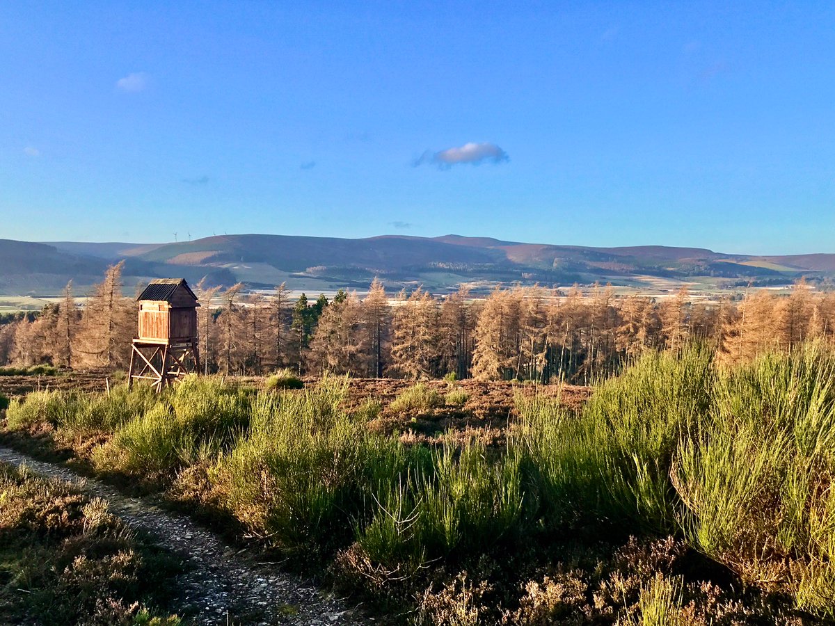 TheMackWalks's tweet photo. Today, Ardhuncart Hill, Mossat💙 #walking #winterwalks #newyeardaywalks #ardhuncarthill #mossat #kildrummy #aberdeenshire https://t.co/q5qYAYx5WQ