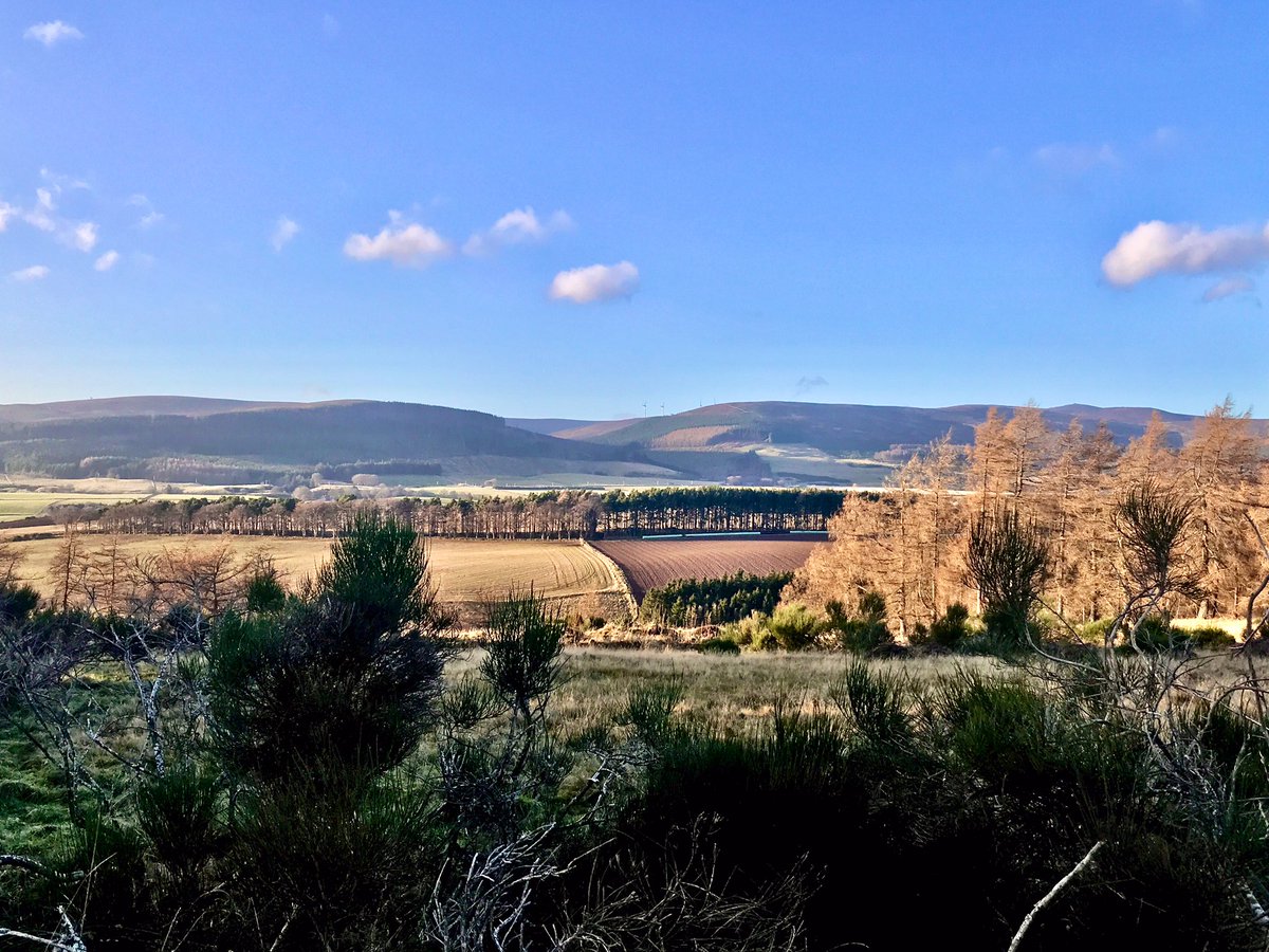 TheMackWalks's tweet photo. Today, Ardhuncart Hill, Mossat💙 #walking #winterwalks #newyeardaywalks #ardhuncarthill #mossat #kildrummy #aberdeenshire https://t.co/q5qYAYx5WQ