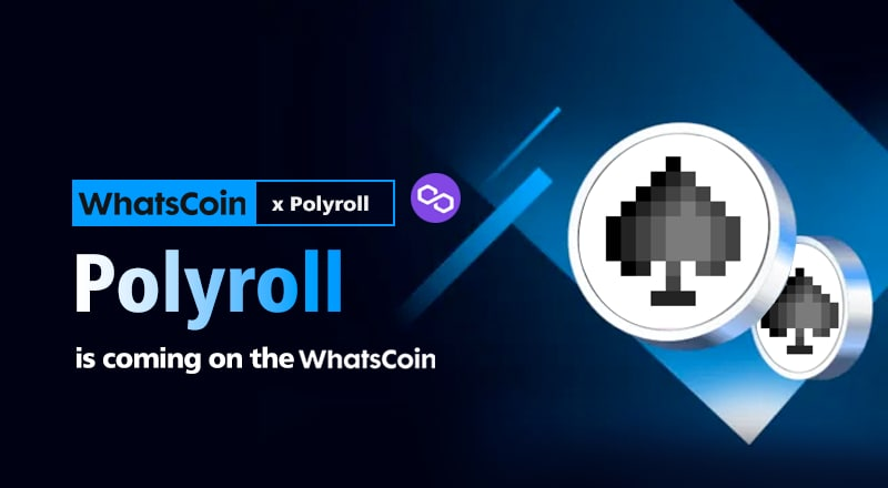 Polygon_Space1's tweet photo. ⚜️@WhatsCoinGlobal has launched the @PolyrollOrg Tracking assets on Dashboard #PolygonChain
⚜️#Polyroll is a decentralized gaming platform built on #Polygon Network and #Chainlink.
🔽INFO
https://t.co/TCqQYPQ8TP
#PolygonSpace #Polygon https://t.co/bzaR4D2bD9