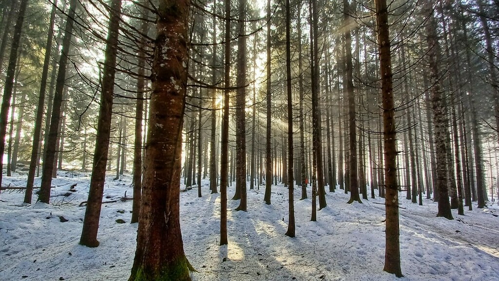 𝑵𝑬𝑼𝑱𝑨𝑯𝑹𝑺-𝑺𝑷𝑨𝒁𝑰𝑬𝑹𝑮𝑨𝑵𝑮

Happy New Year 🍀🍀

#wildkogelarena #neukirchen #bramberg #happynewyear #hny2022 #walking #winterwalk #outdoor #salzburgerland #visitaustria #visitwildkogel