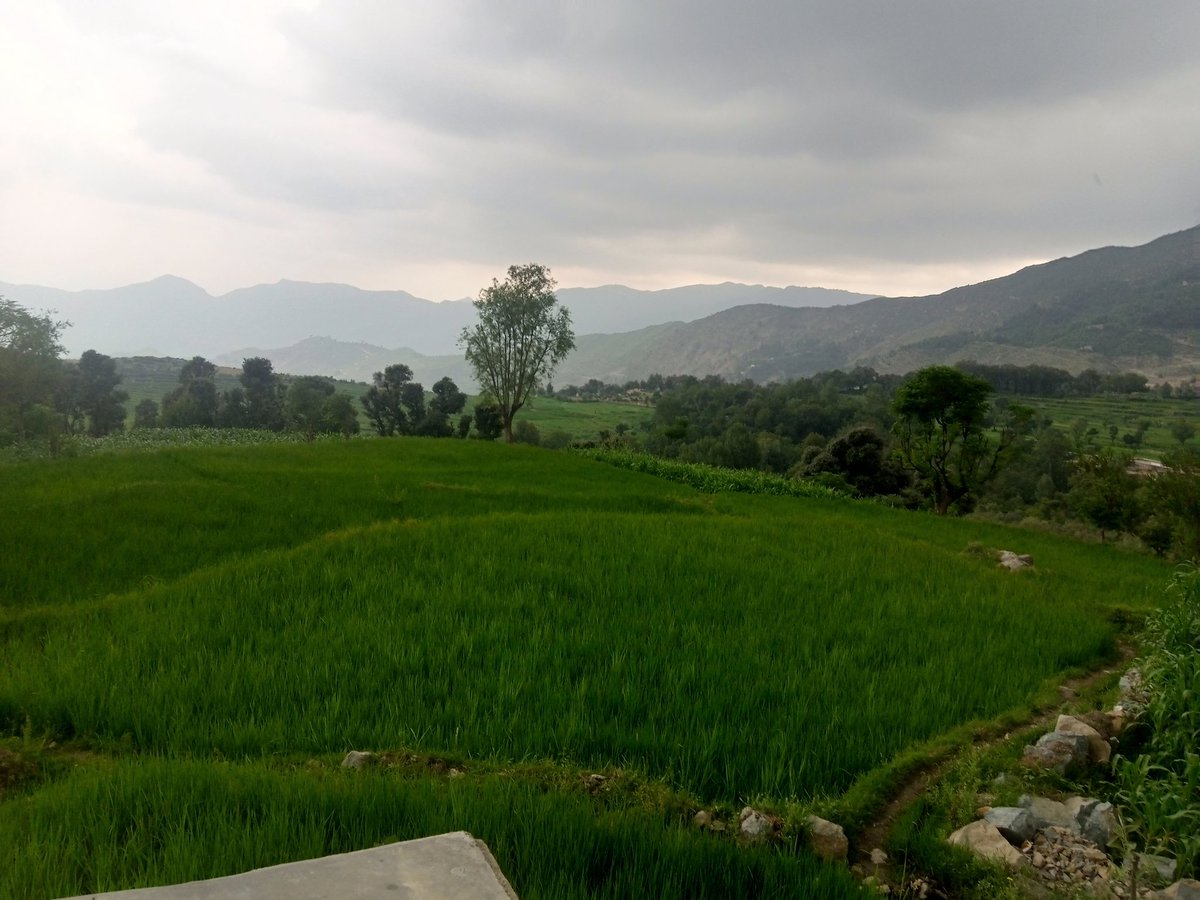 salah_salarzai's tweet photo. The beauty of Bajaur awaits the tourists. After the improvement of law &amp; order and infrastructure, Bajaur will be the most suitable place for tourism.
#زما_باجوڑ_خائستہ_دے https://t.co/Wzud9OwtX8